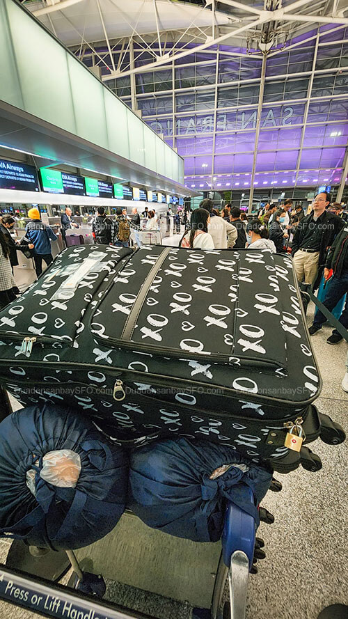 xe đưa đón sân bay