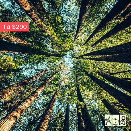 công viên quốc gia yosemite