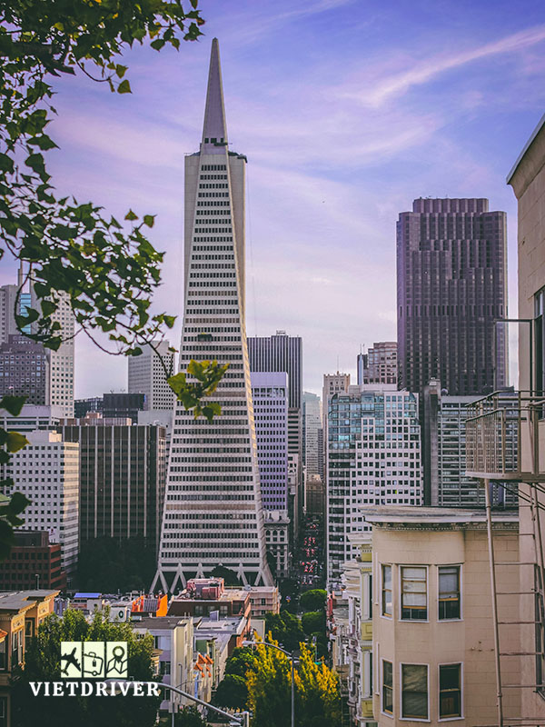 transamerica pyramid san francisco