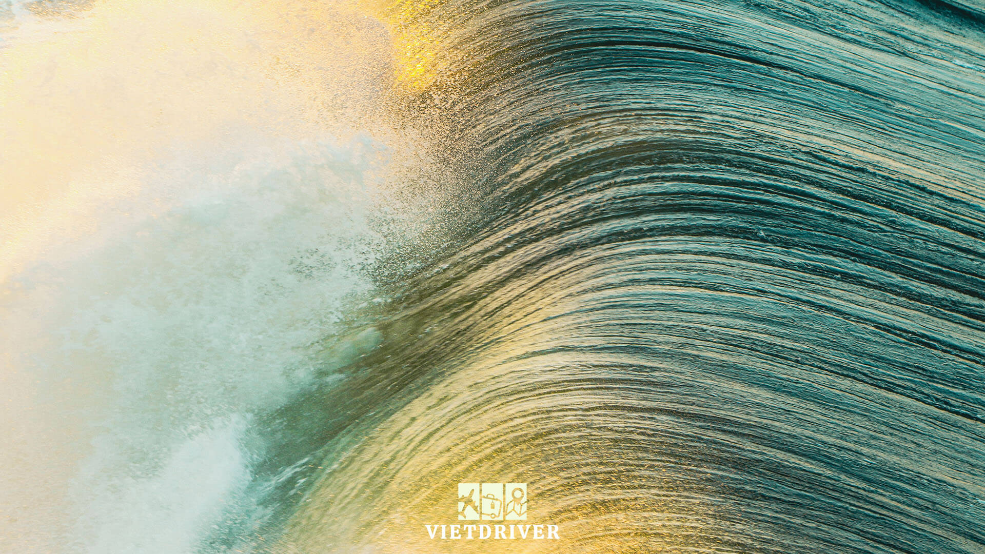 du lịch bờ tây mỹ 10 ngày