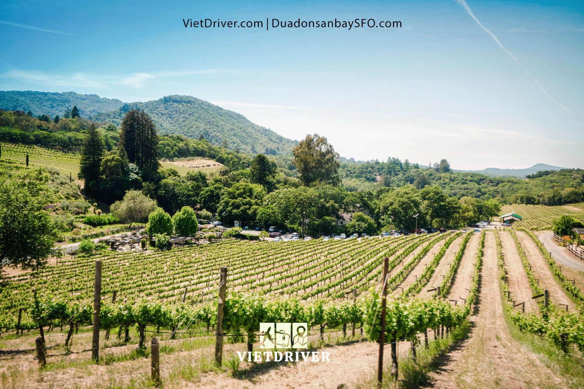 du lịch thung lũng napa