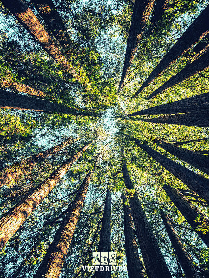 tham quan vườn quốc gia yosemite