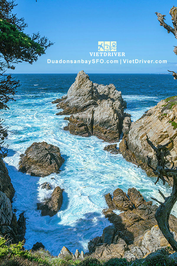 tour du lịch carmel by the sea