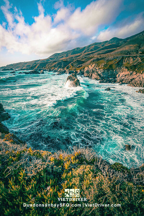tour du lịch carmel by the sea