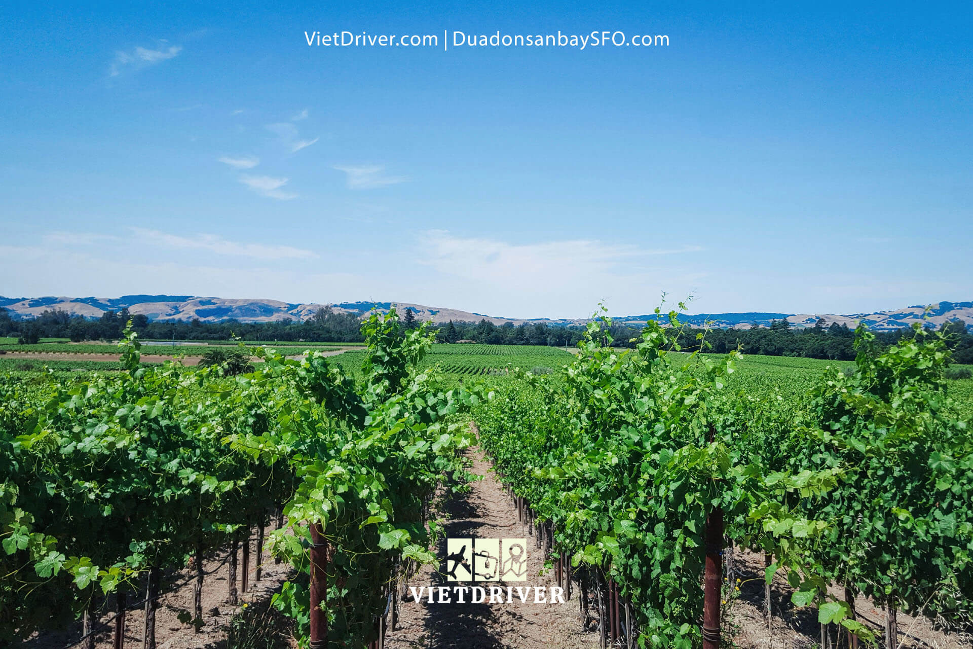 tour du lịch thung lũng napa