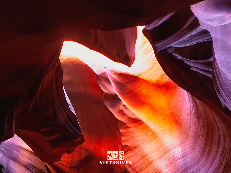 tour mỹ kết hợp thăm thân