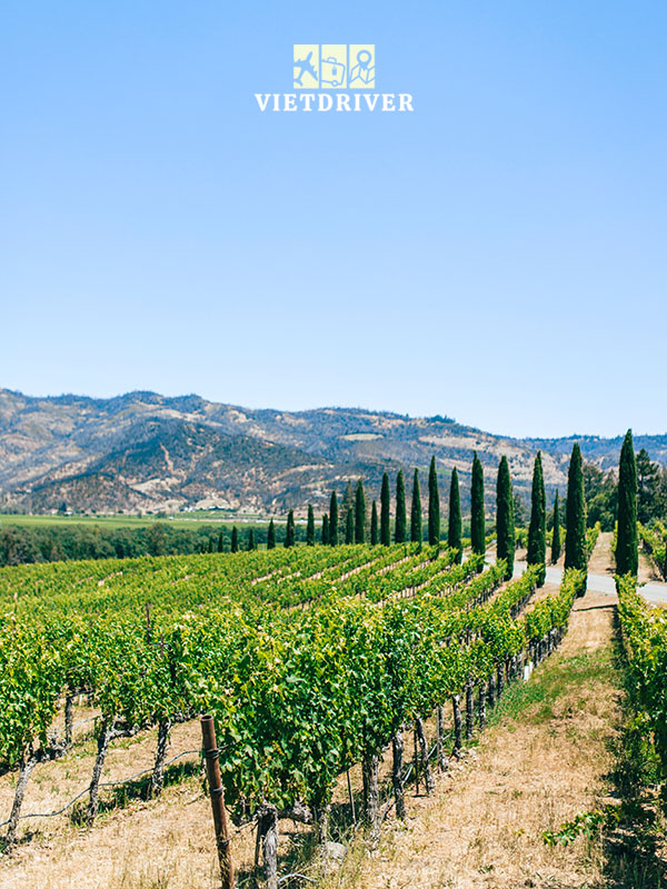 tour napa valley