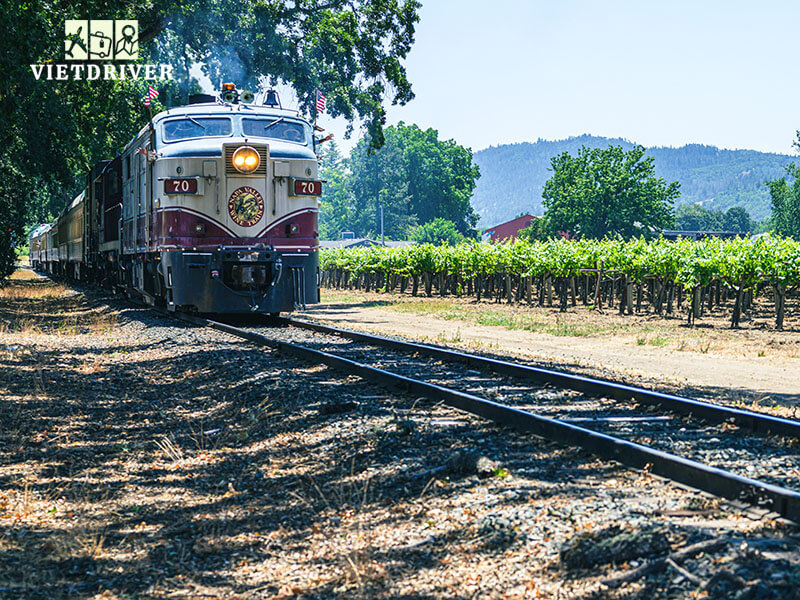 tour thung lũng napa