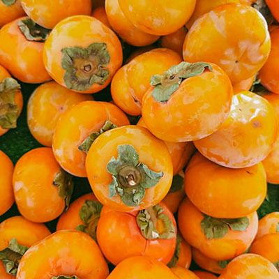 chợ nông sản hollywood