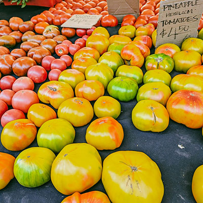 chợ nông sản hollywood