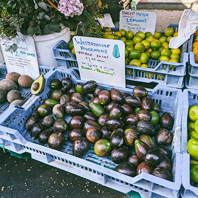 hollywood farmers market
