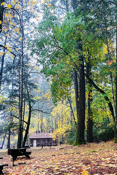 công viên tiểu bang thung lũng bothe-napa