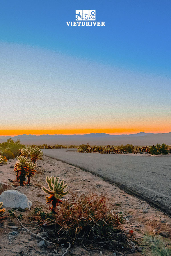 công viên quốc gia Joshua Tree