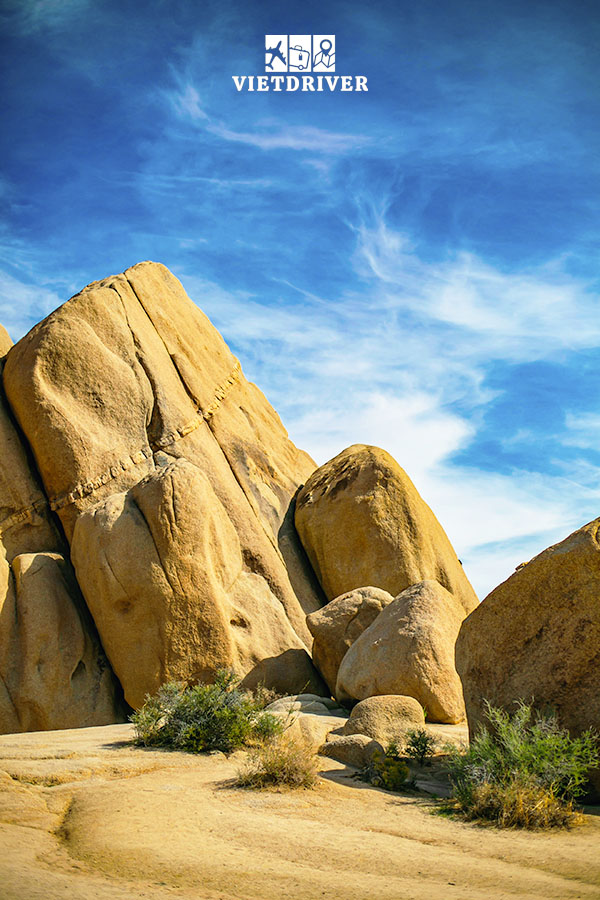 công viên quốc gia Joshua Tree