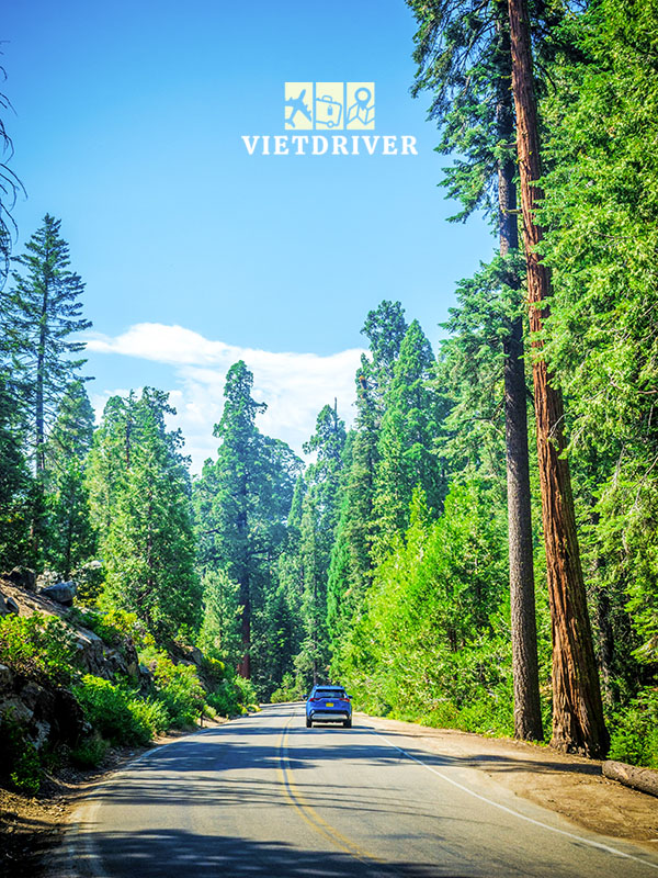 công viên quốc gia Sequoia