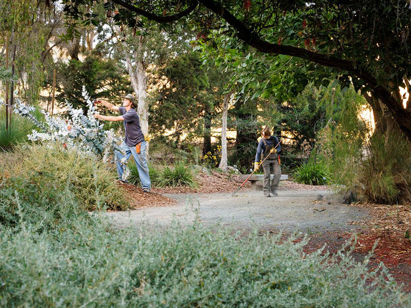 đại học bách khoa california