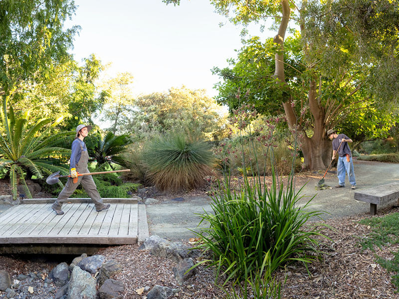 đại học bách khoa california