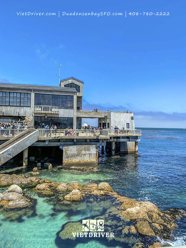 Monterey Bay Aquarium