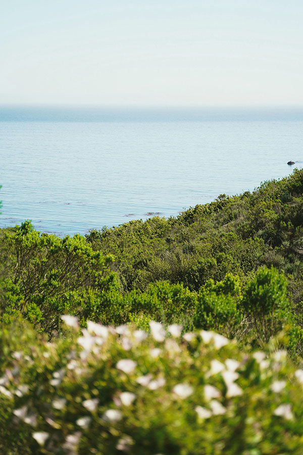 tour mỹ giá rẻ - tham quan san luis obispo