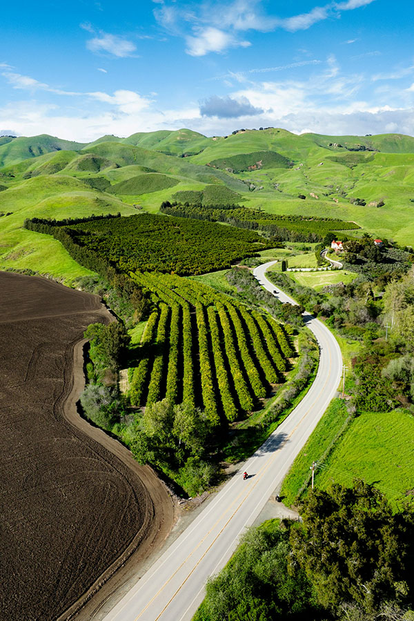 tour mỹ giá rẻ - tham quan san luis obispo