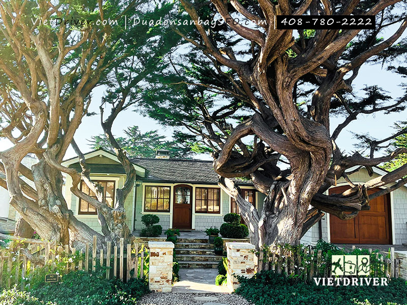 tour đi mỹ giá rẻ