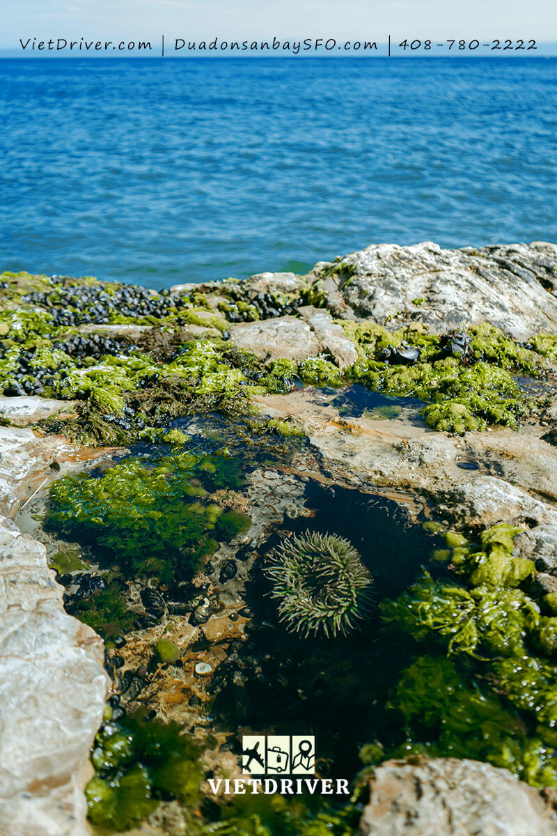 du lịch mỹ trọn gói giá rẻ