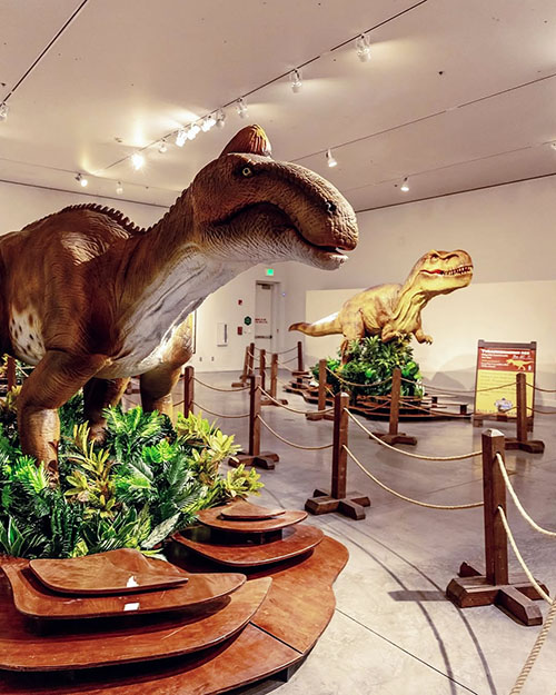 công viên khám phá Turtle Bay