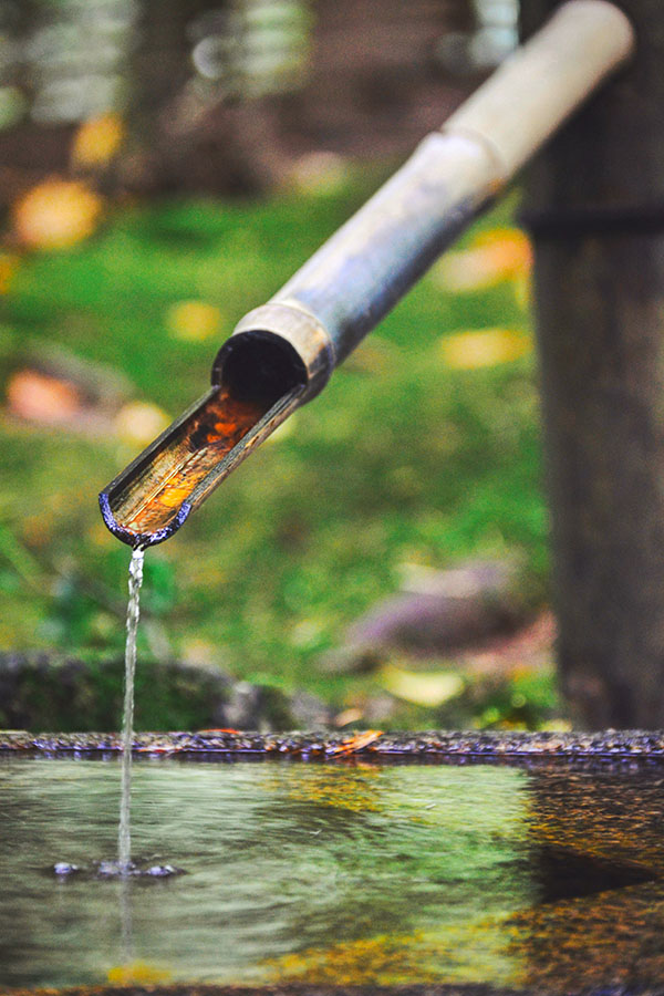 vườn nhật bản portland