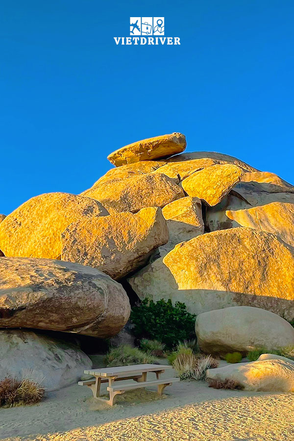 vườn quốc gia Joshua Tree