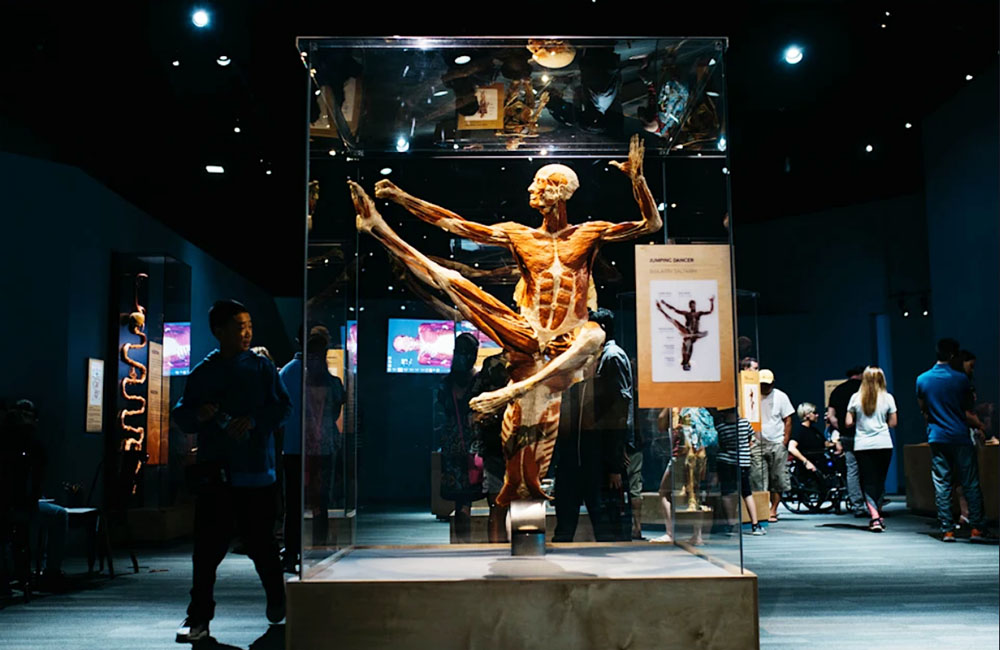 The tech interactive