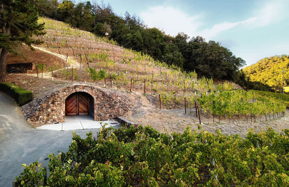 Trang trại nho Pine Ridge