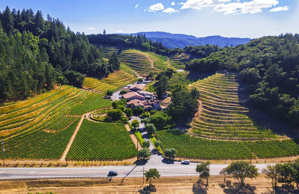 Trang trại nho Pine Ridge