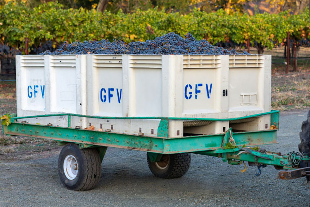 các địa điểm du lịch ở mỹ 