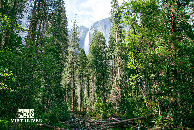chinh phục công viên quốc gia yosemite