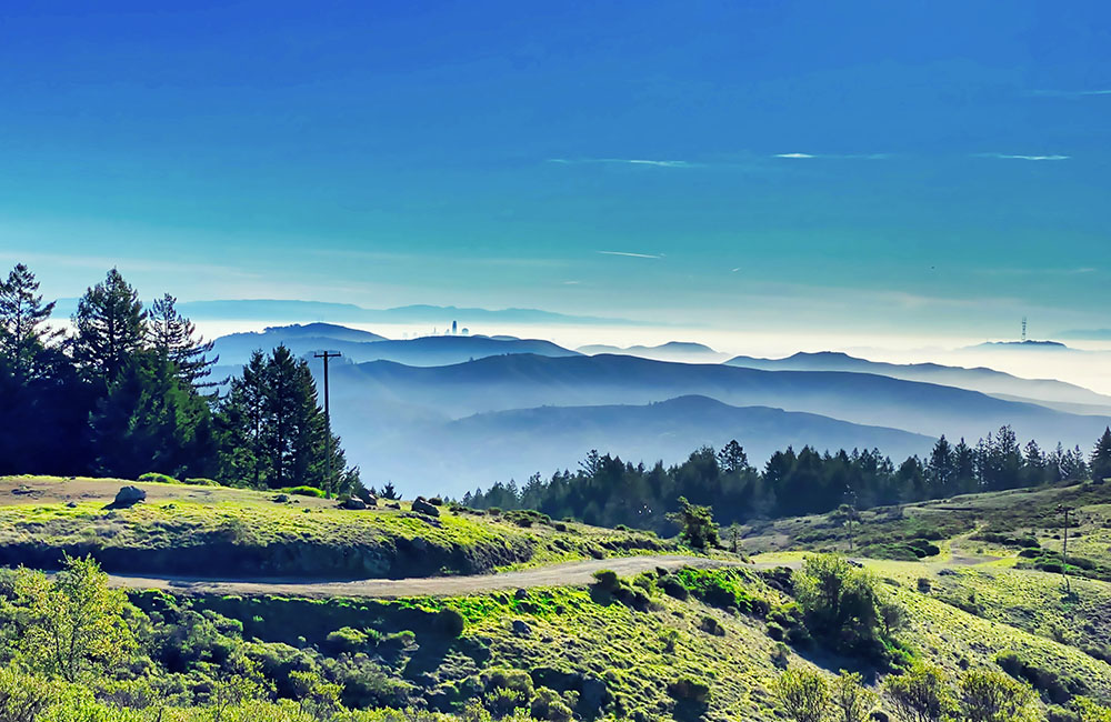 di tích quốc gia muir woods
