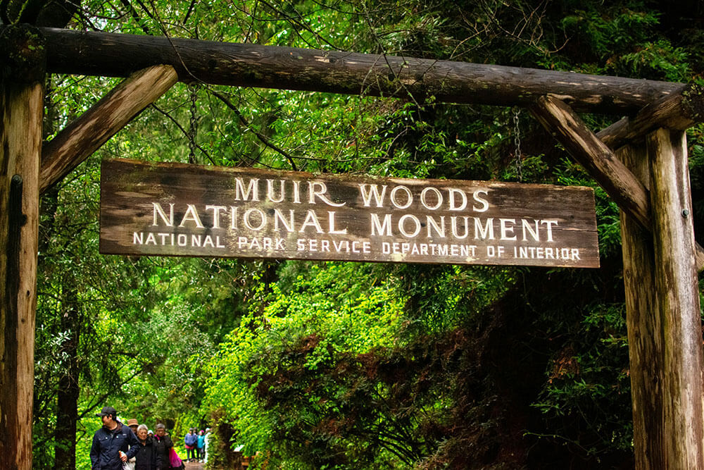 di tích quốc gia muir woods