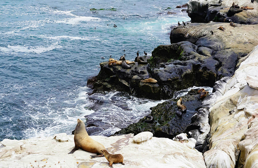 địa danh nổi tiếng ở mỹ