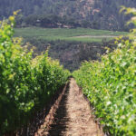 địa điểm du lịch nổi tiếng ở mỹ