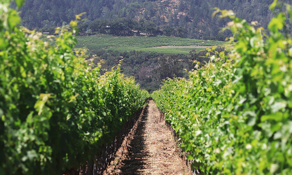 địa điểm du lịch nổi tiếng ở mỹ