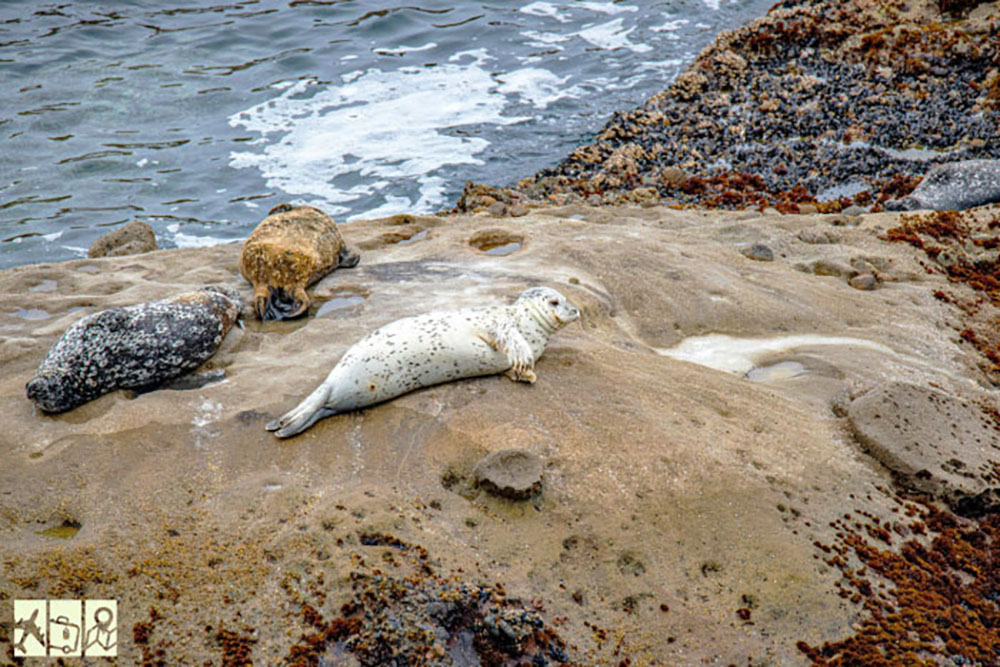 địa điểm du lịch ở california