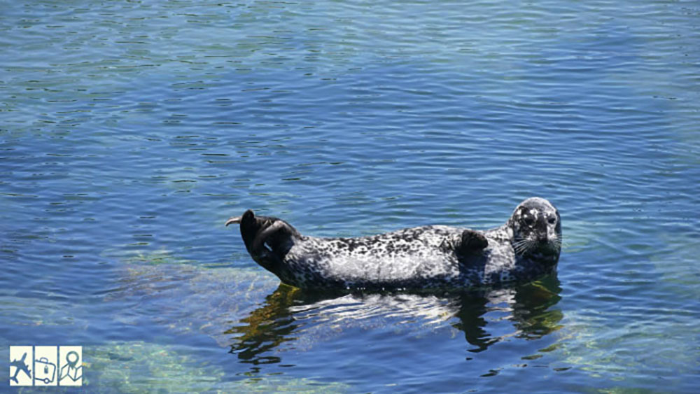 địa điểm du lịch ở california