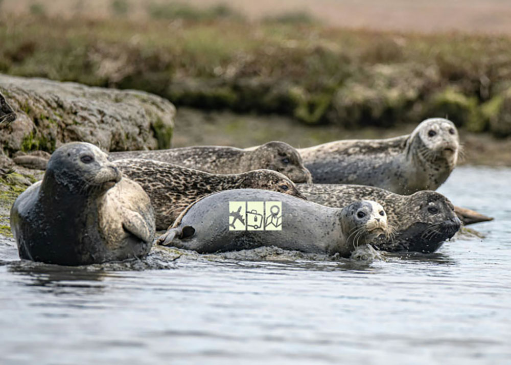 địa điểm du lịch ở california