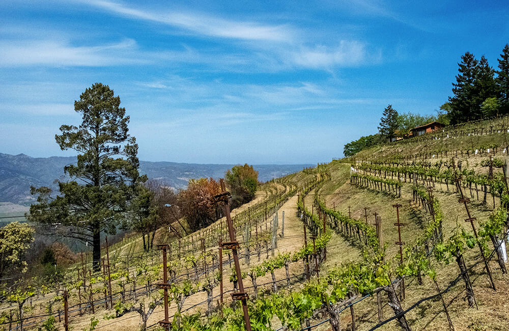 địa điểm nổi tiếng ở bờ tây nước mỹ