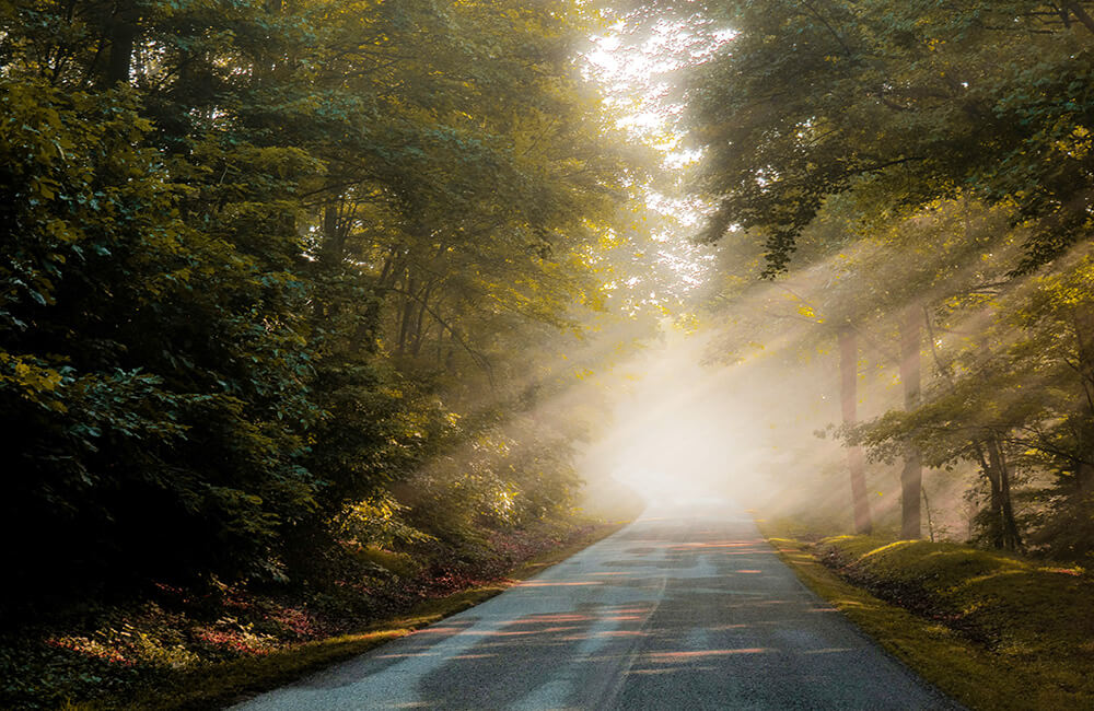 Dia diem noi tieng o my 1