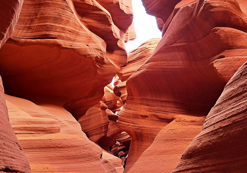 khám phá hẻm núi linh dương