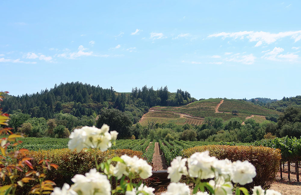 những cảnh đẹp ở california