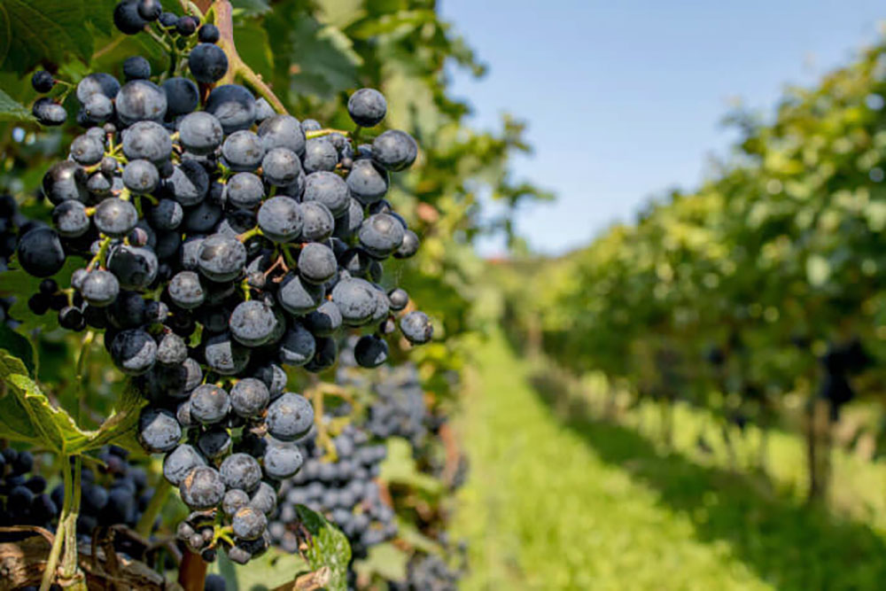 nhung diem du lich o california, những địa điểm du lịch ở california