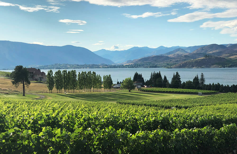 so sánh rượu vang washington và thung lũng napa