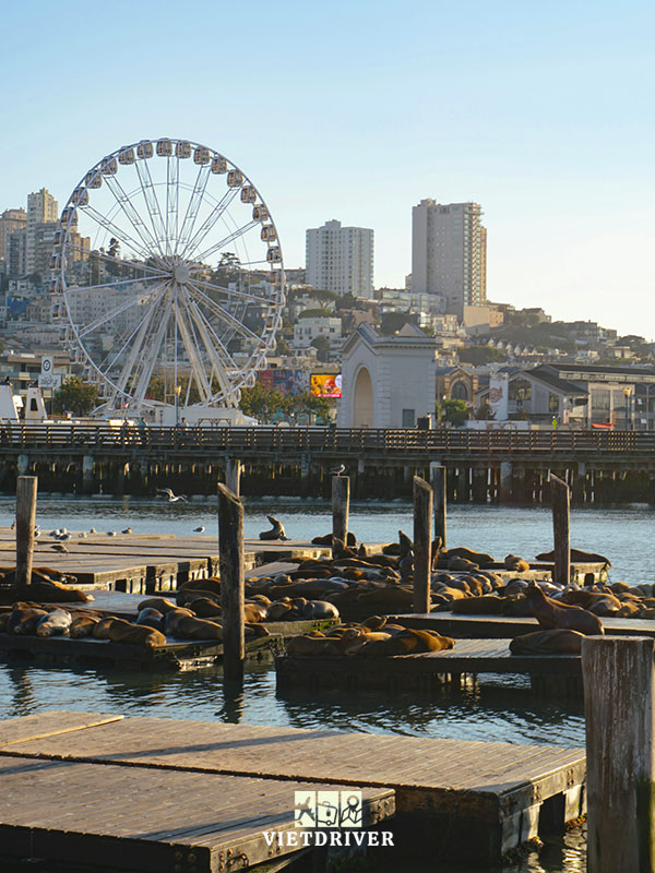 San francisco california hoa ky 2