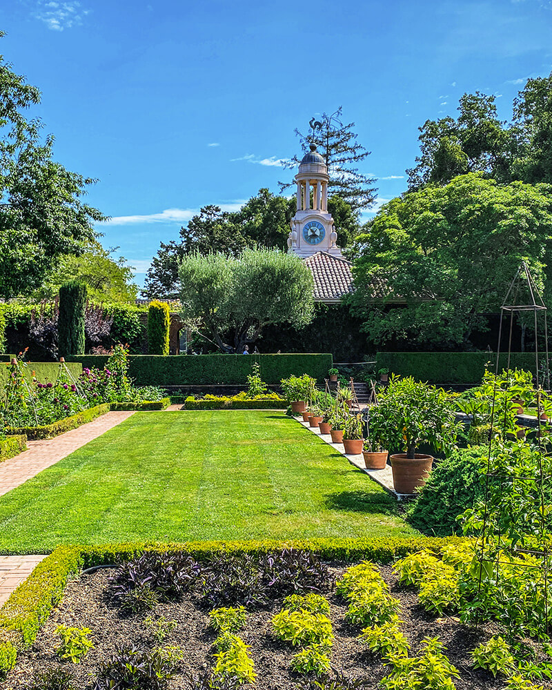 tham quan thung lũng silicon